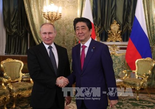 Путин: Российско-японские отношения продвигаются вперёд - ảnh 1